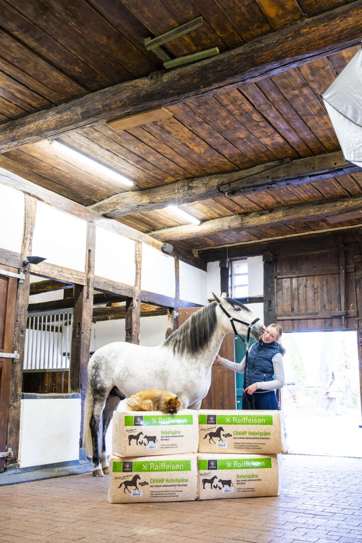 KANTRIE Hobelspäne Champ